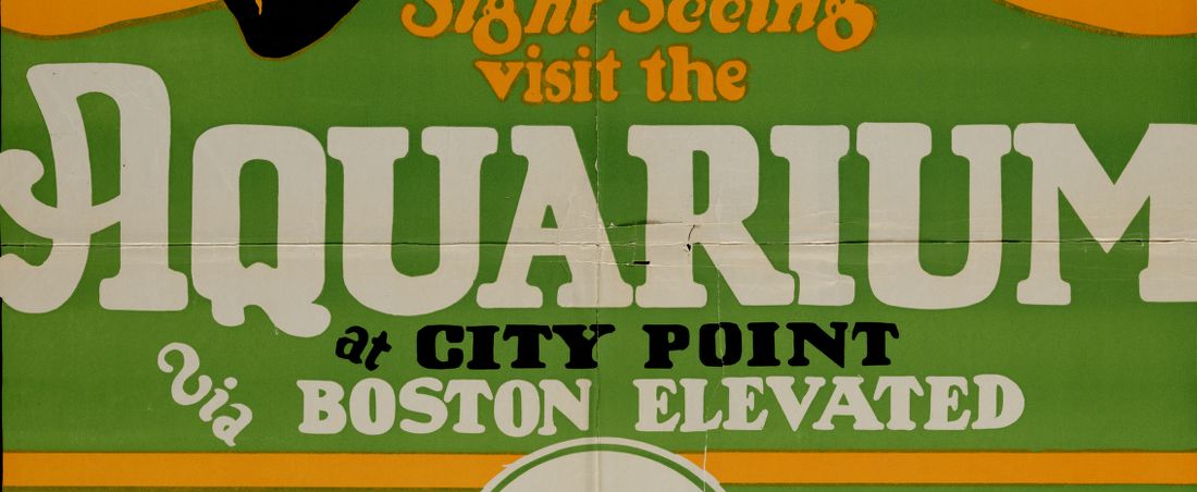 When sight seeing visit the Aquarium at City Point via Boston Elevated