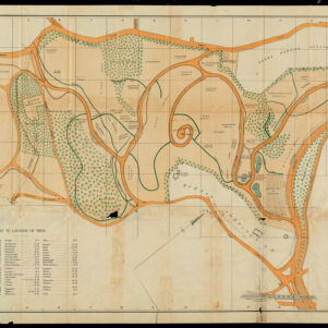 Arnold Arboretum Maps and Plans