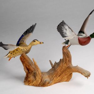 Castonguay Carved Bird Collection at West Yarmouth Library