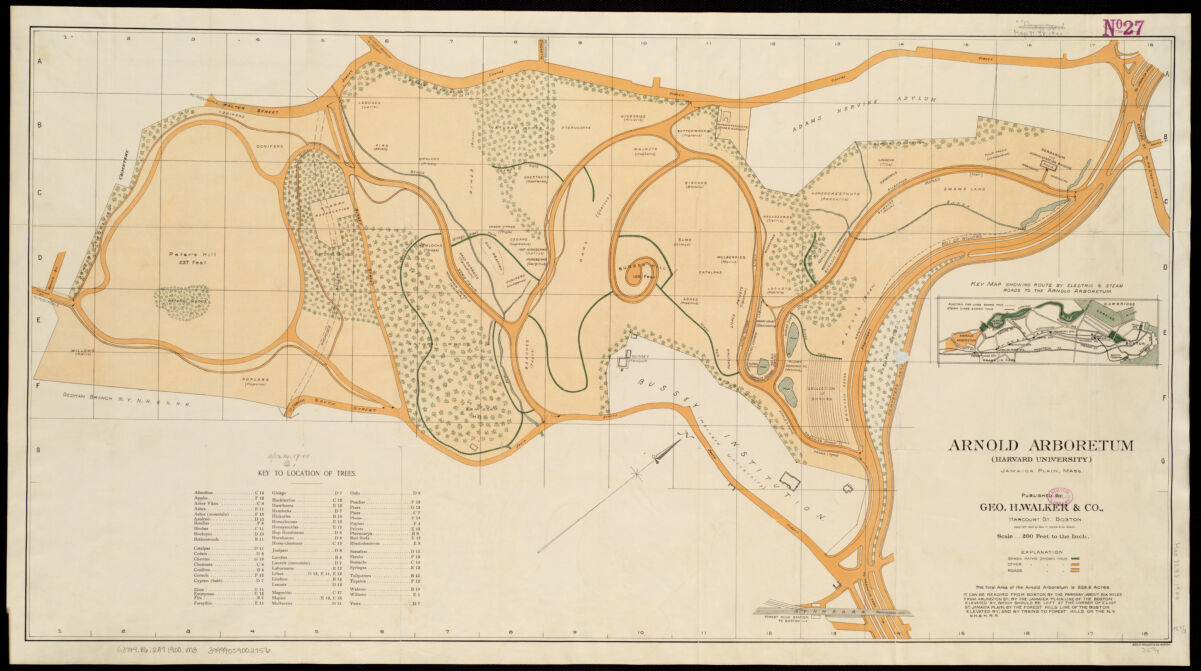 A [census of trees and shrubs in Arnold Arboretum](https://collections.leventhalmap.org/search/commonwealth:9s161f59c) ([1900]), from the Leventhal Center's collections.
