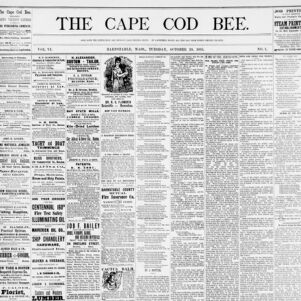 The Cape Cod Bee