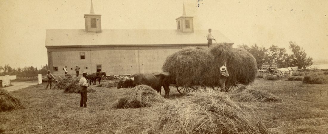 Farm and Barn at the Lyman School